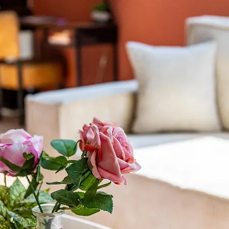 Spacieux T2 Place De La Republique شقة ديجون