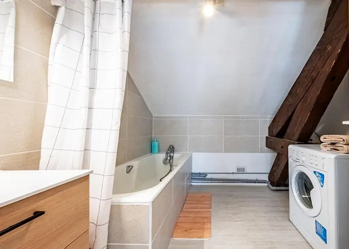 Spacieux T2 Place De La Republique ディジョン